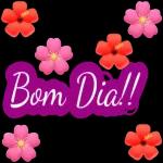 BOA NOITE!