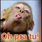 FALO NADA SÓ OBSERVO 