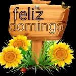 bom dia