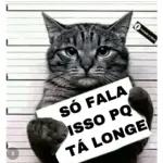a culpa e sua 