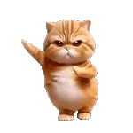 จุ๊บๆ