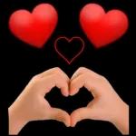 amor amor amor amor amor amor amor