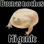 🐸Sapo Feliz Dia 🐸
