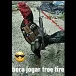free Fire