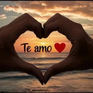 Te amo - getsticker.com