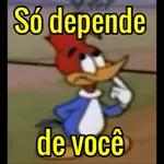 cidades 