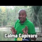 capivara 
