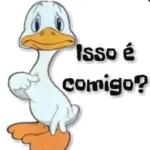 Adorei!