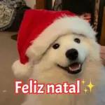 Natal, lá vou eu!!🏍️