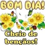 figurinha novo6