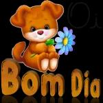 dia Bom você pra
