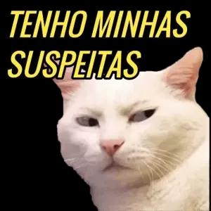 TENHO MINHAS SUSPEITAS - getsticker.com