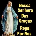 bom dia 🙏