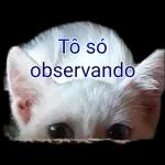 VC que está devendo e eu sou a sonsa???