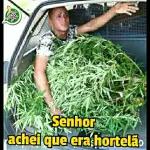 whatsap