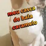 figurinhas