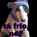 tá frio né