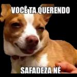 vamos transa