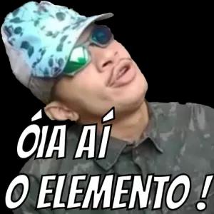 OIA AI O ELEMENTO - getsticker.com
