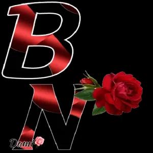 Boa Notte - getsticker.com