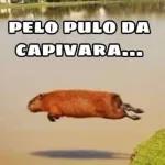 capivara