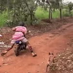 mrsvjj