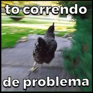 kscQj1
