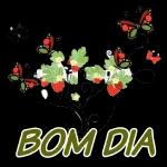 Bom
dia!