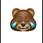 urso