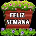 SEGUNDA FEIRA