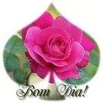 FELIZ TERÇA FEIRA