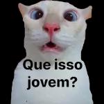 😅dida