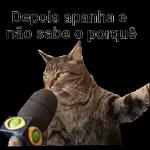 pacote de figurinhas