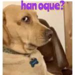 últimos