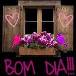 Bom dia 