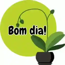 BOM DIA
