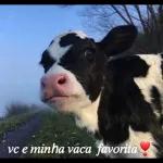 👉👈