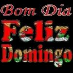 FELIZ QUARTA