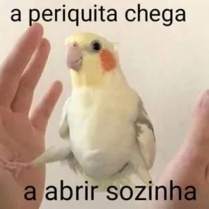 owazTr