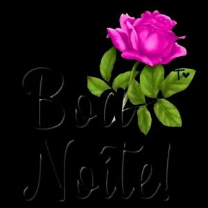 Boaks Noite! - getsticker.com