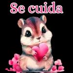bebês 