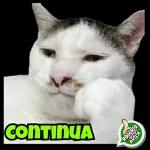 Boa Noite!