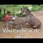 GOSTEI DA FIGURINHA VOU ROUBAR