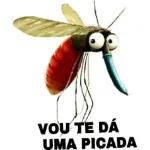 DEPOIS RECLAMA QUE É VITIMA DE BULE