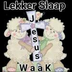 lewe is n lied