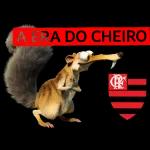 Flamengo ⚽️