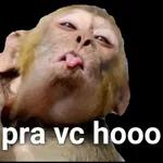 Cuida que hoje eu tô pra tudo que você quiser