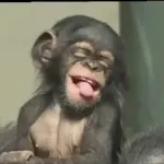 صباح الخير يا حلوين