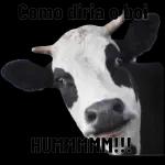 AGRADECEMOS A PREFERÊNCIA. VOLTE SEMPRE