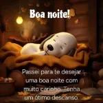 BOA NOITE 